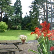 Glenlyon  Rear Garden 6
